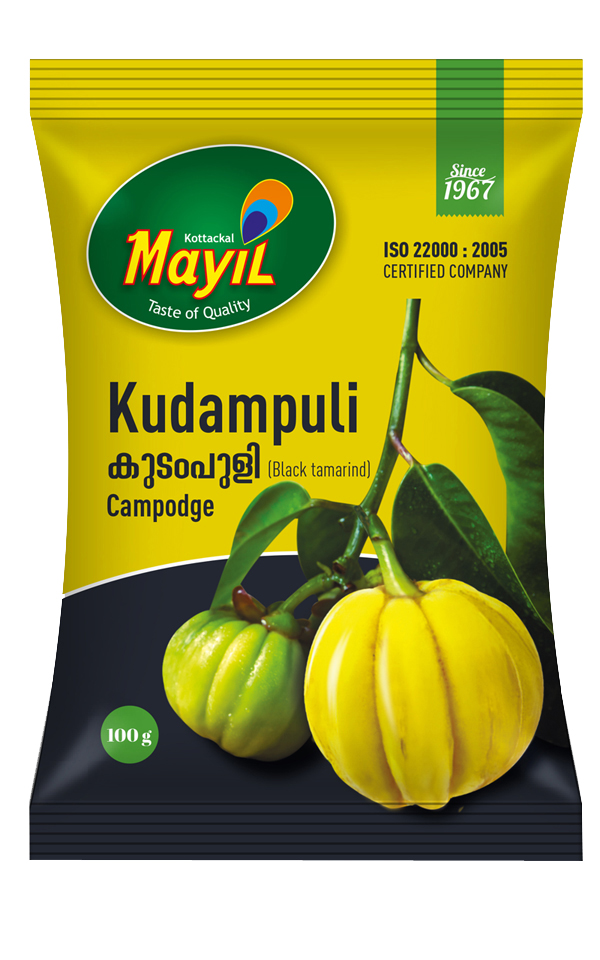 Kudampuli